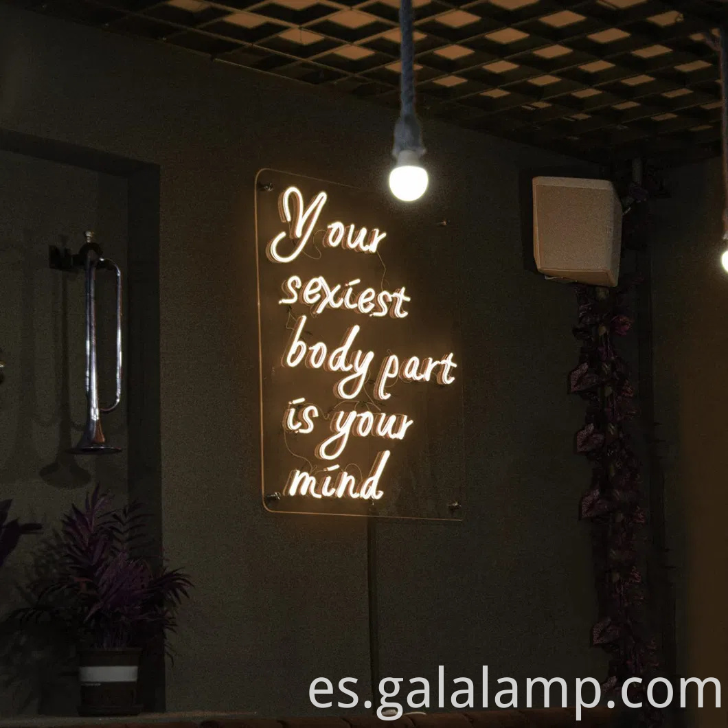 Luces de tiras de neón de silicona flexibles IP67 coloridas para la decoración del hogar y el jardín